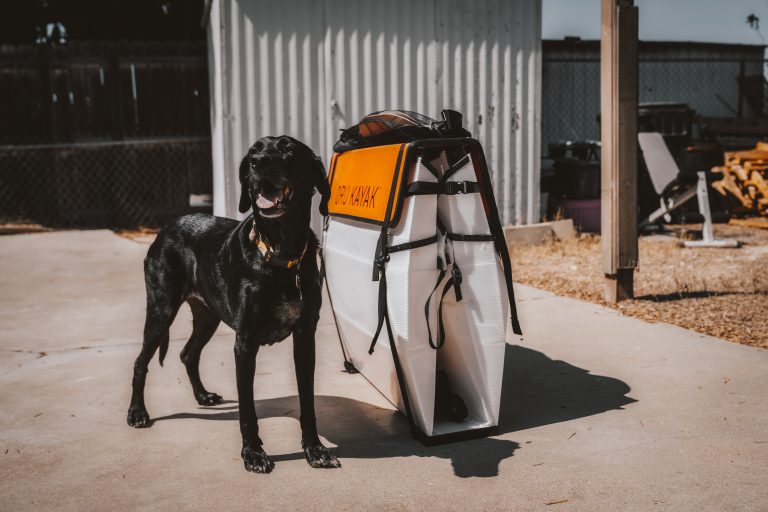 Orukayak, Oru Kayak Shop, Onlineshop.